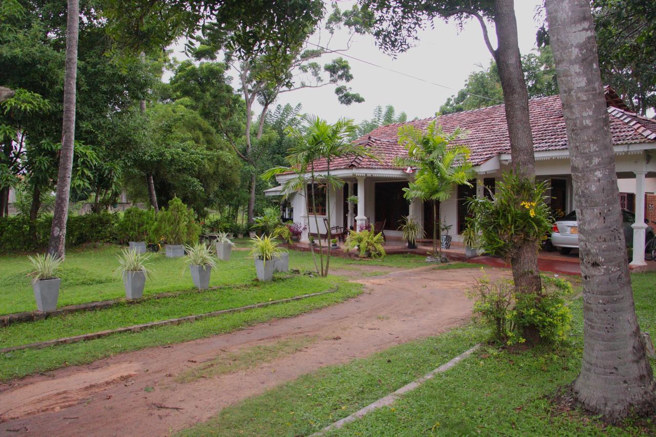 Coco Home Negombo Exterior photo