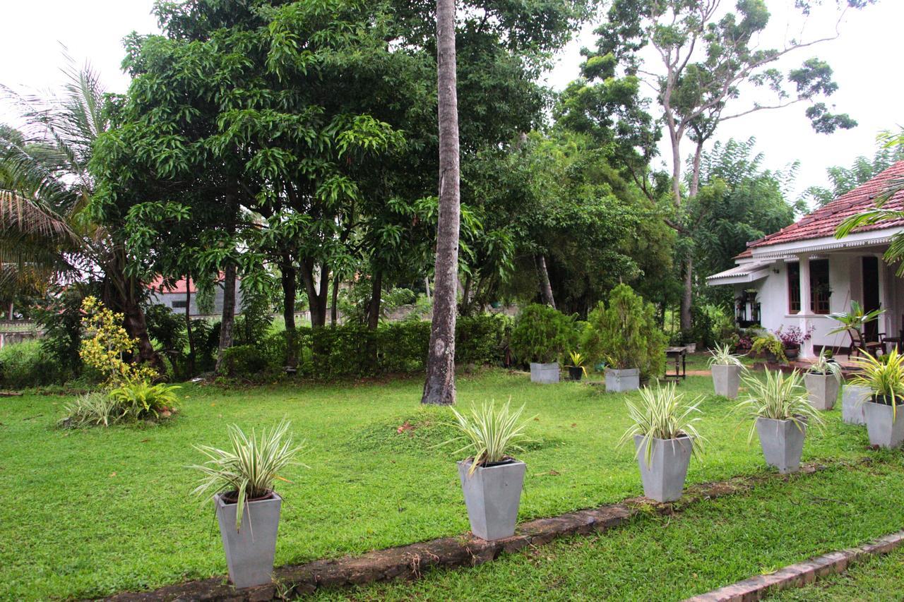 Coco Home Negombo Exterior photo