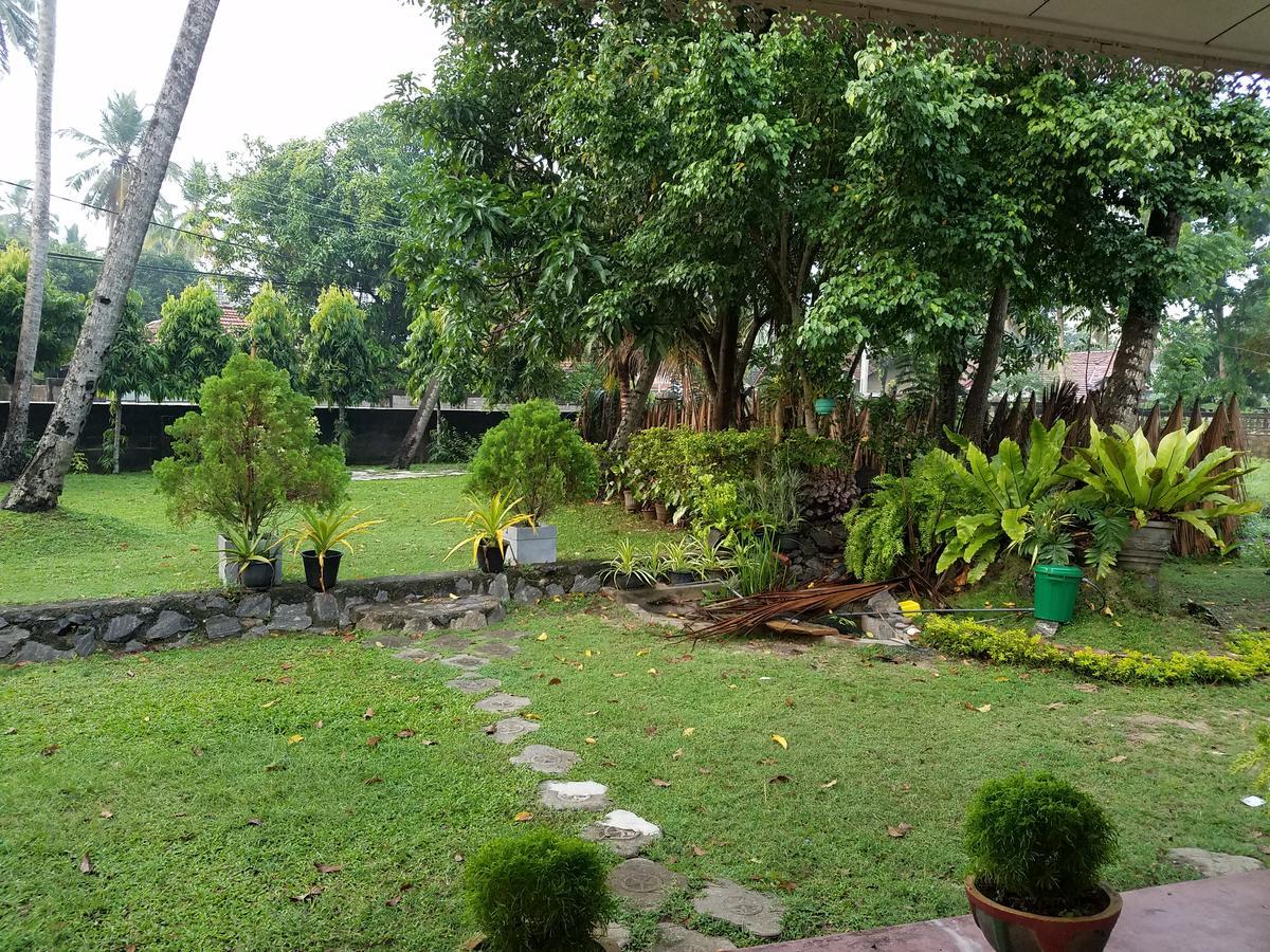 Coco Home Negombo Exterior photo