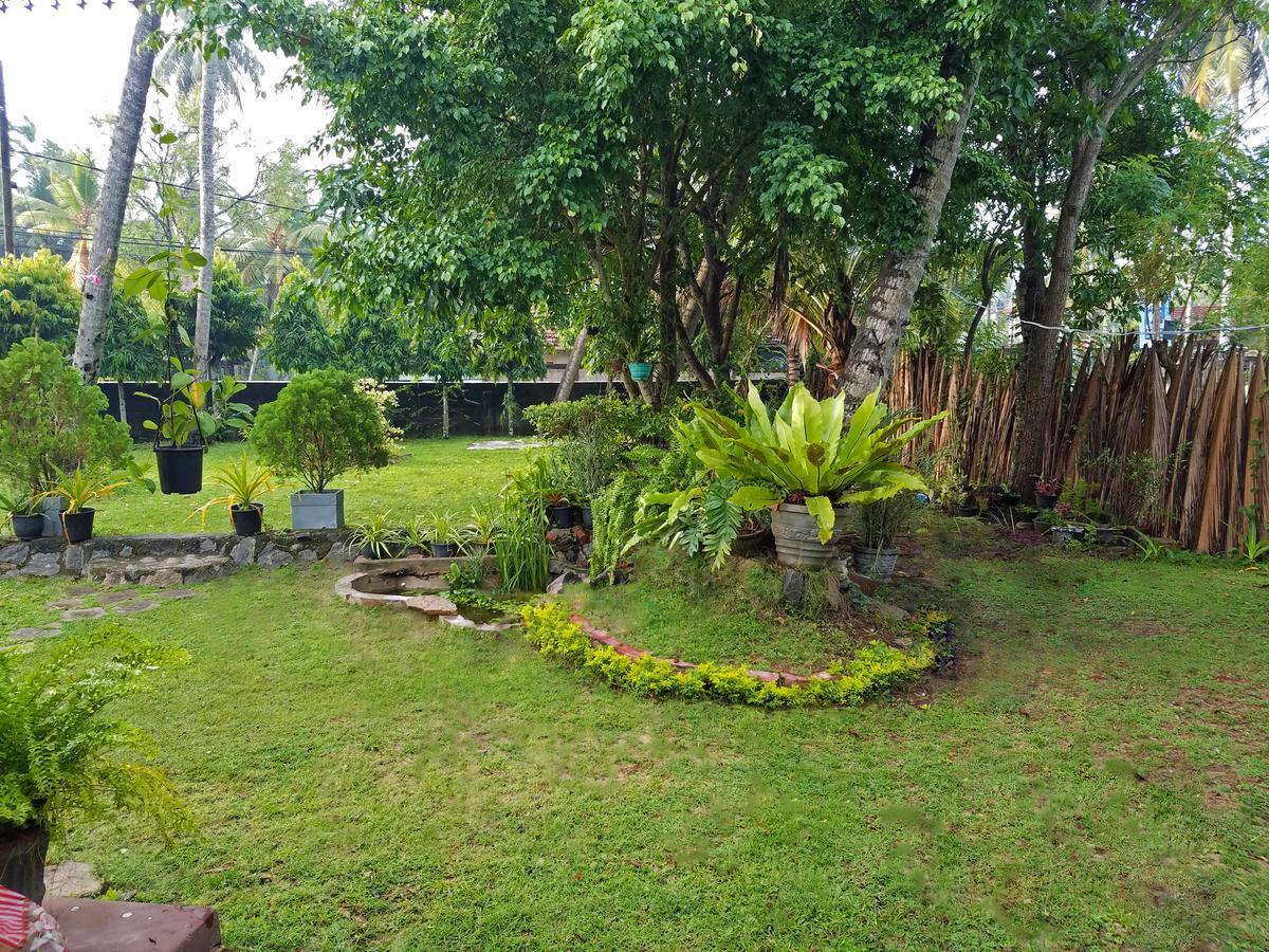 Coco Home Negombo Exterior photo